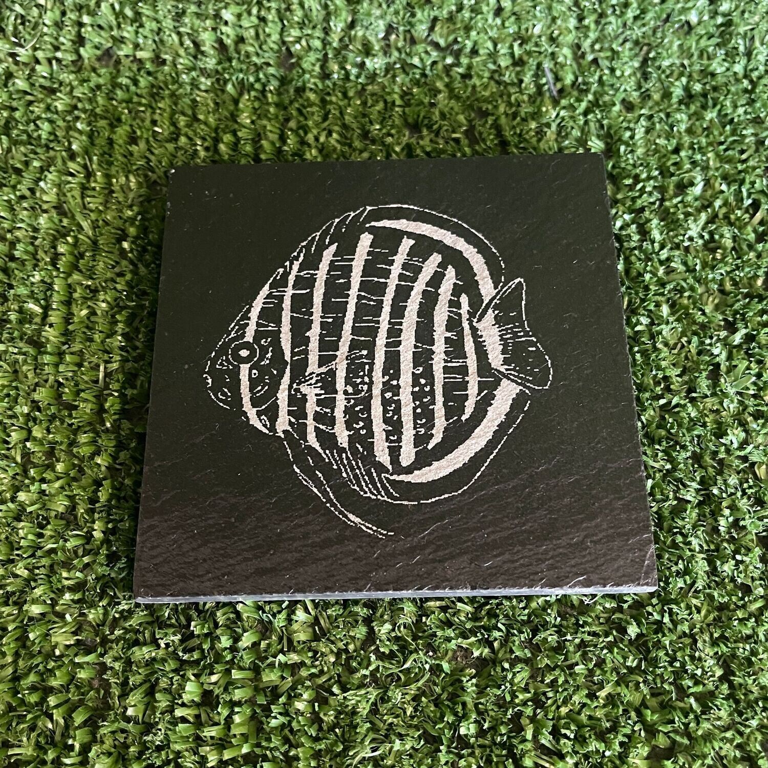Discus Fish Slate Coaster