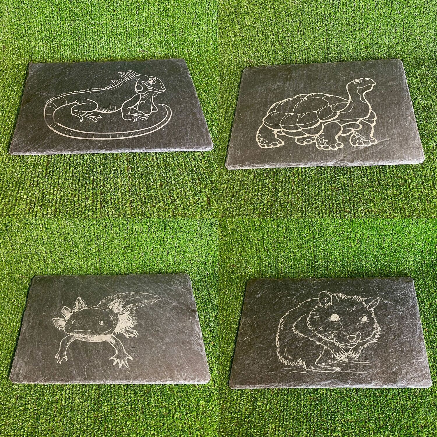 ​Laser Engraved Feeding Slate, Basking 15x20cm/30x20cm.
