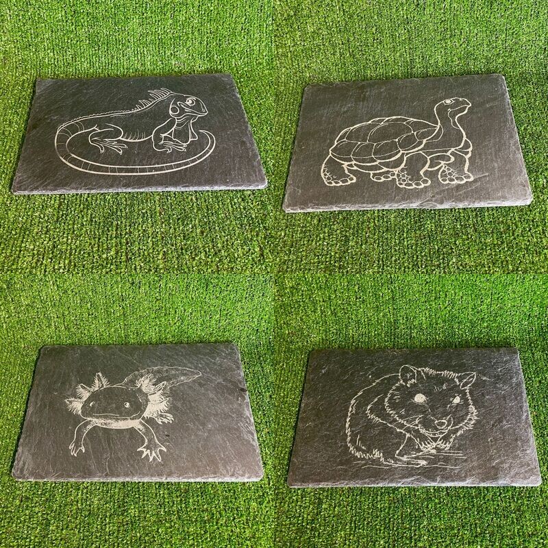 ​Laser Engraved Feeding Slate, Basking 15x20cm/30x20cm.