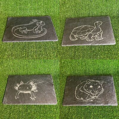 Laser Engraved Feeding Slate, Basking 15x20cm/30x20cm. Laser Engraved Feeding Slate, Basking 15x20cm/30x20cm.