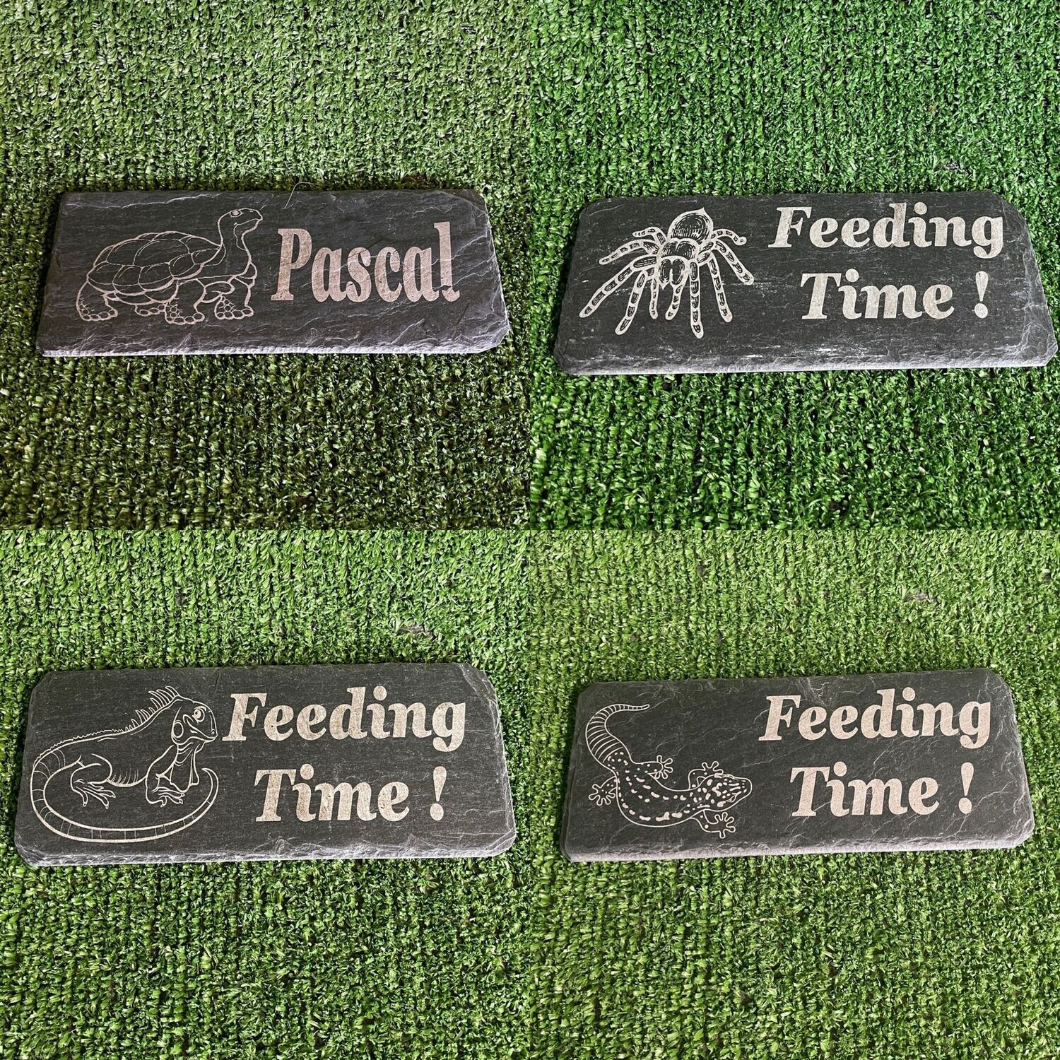 ​Reptile Feeding Slates, Feeding Time 20x8cm