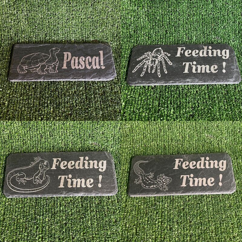 ​Reptile Feeding Slates, Feeding Time 20x8cm