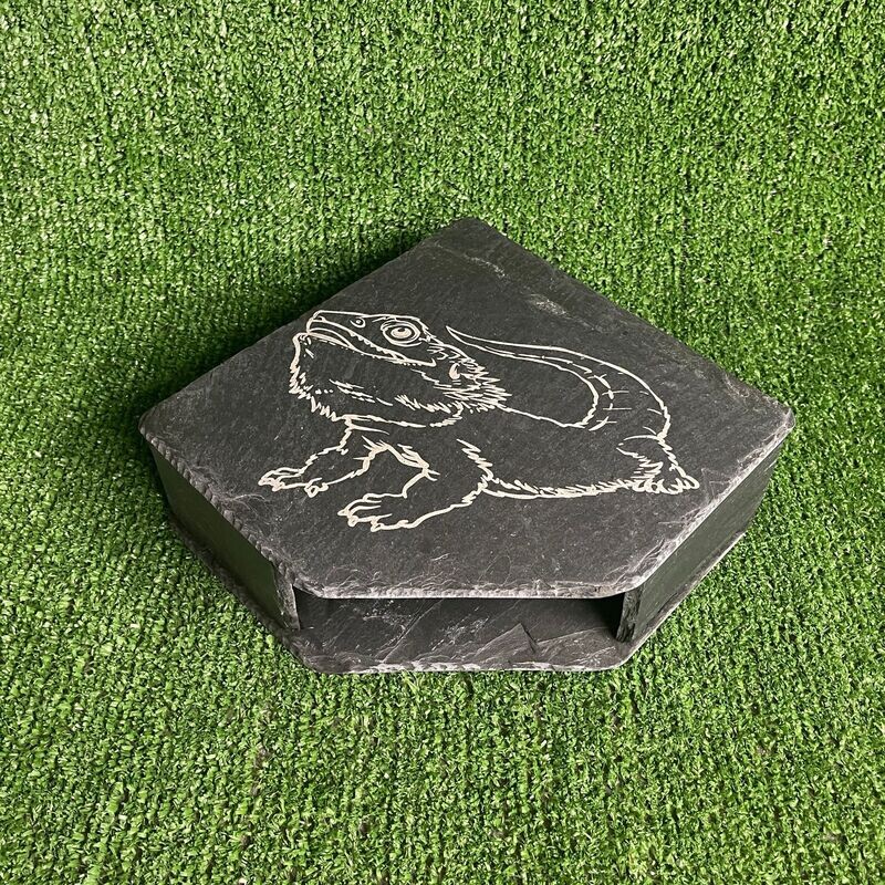 Bearded Dragon 15x15x5cm Slate Cave