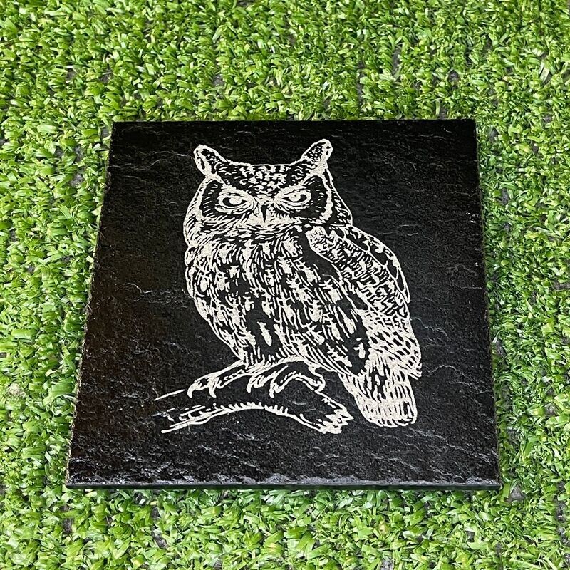 Owl Slate Coaster