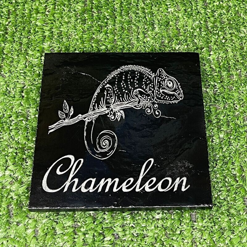 Chameleon Slate Coaster