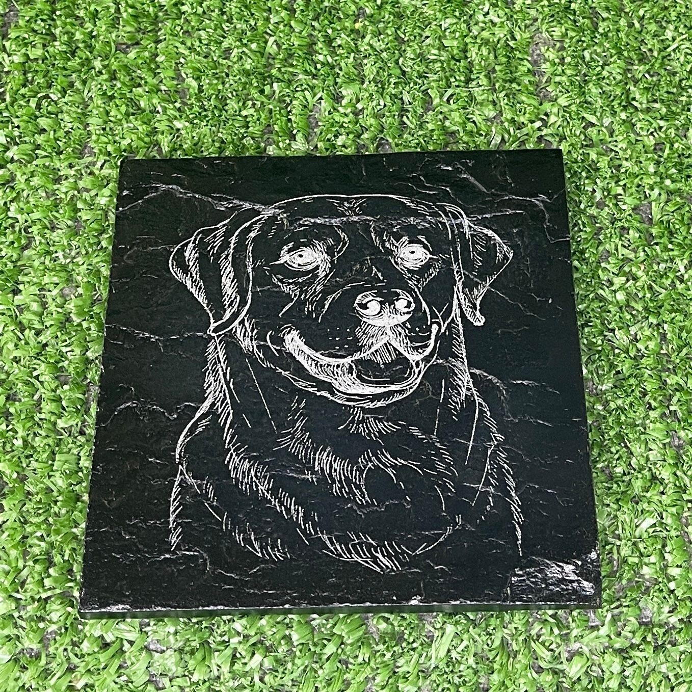 Labrador Dog Coaster