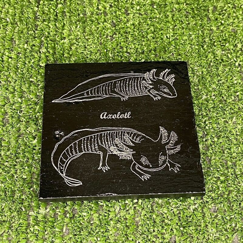 Axolotl x2 Natural slate Coaster