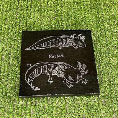 Axolotl x2 Natural slate Coaster Axolotl x2 Natural slate Coaster