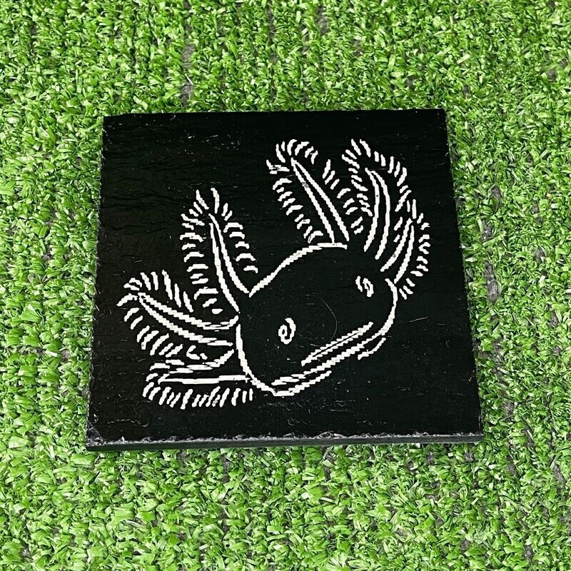 Axolotl Head Slate Coaster