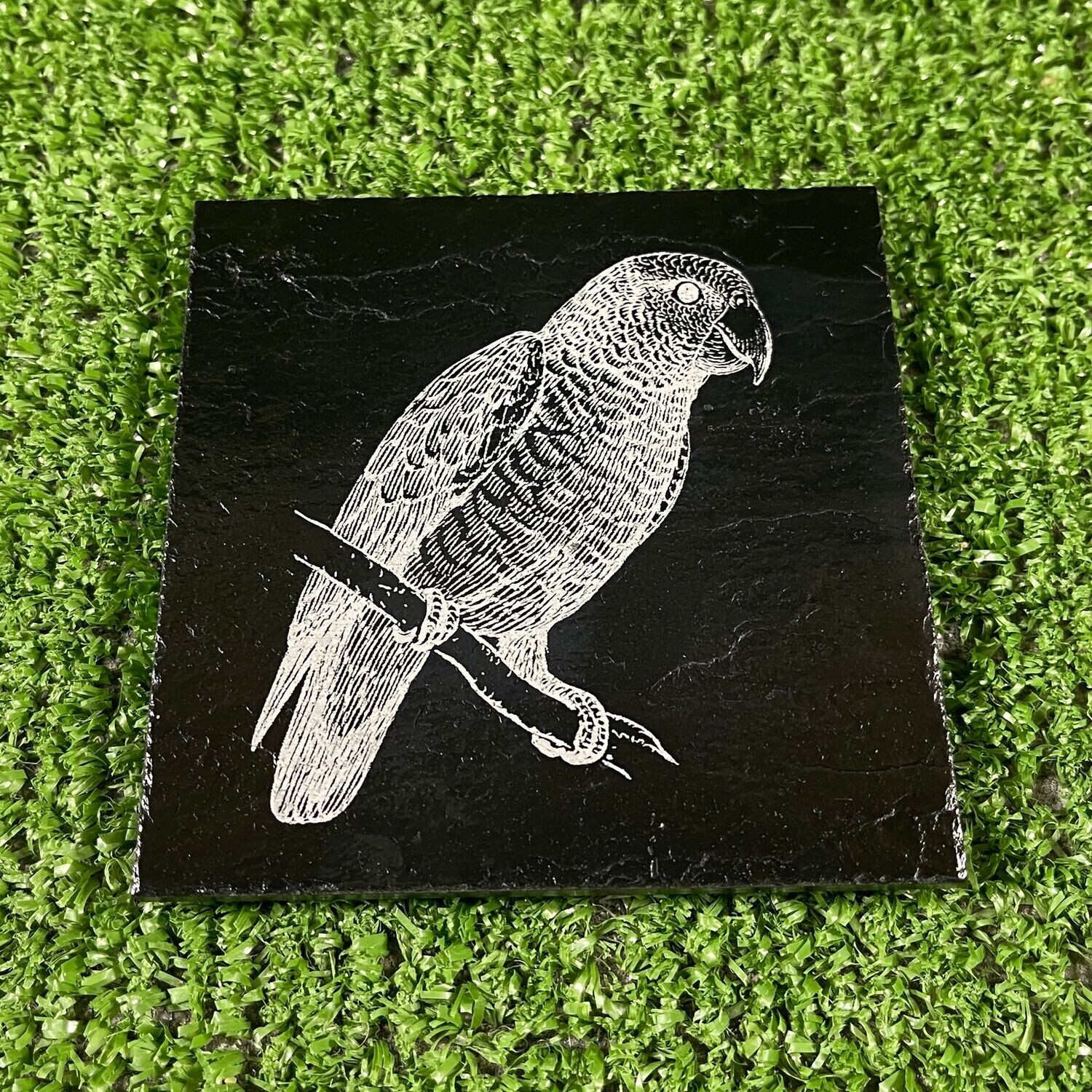 Parrot Bird Coaster