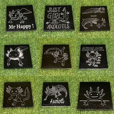 Axolotl Slate Coasters