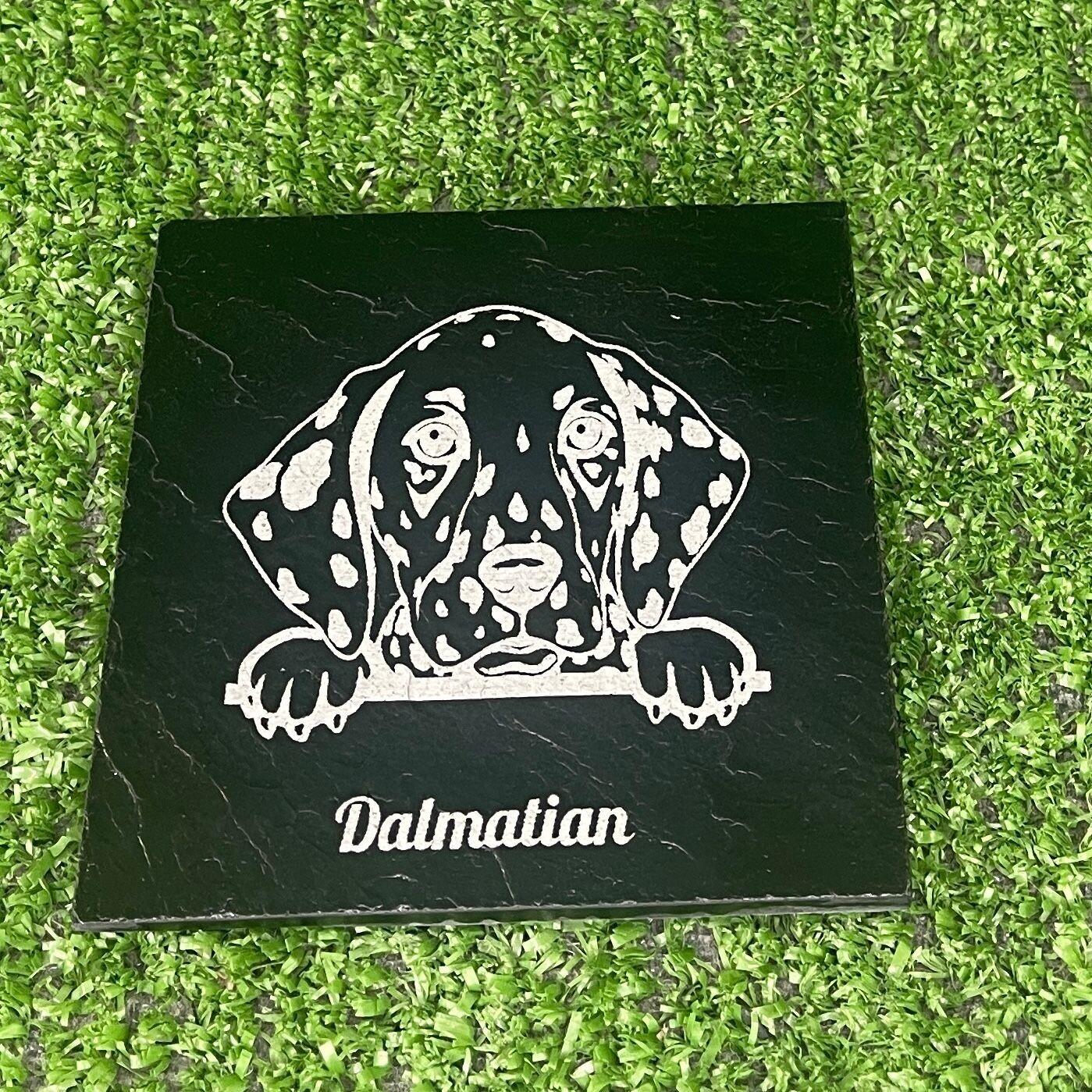 Dalmatian Dog Coaster