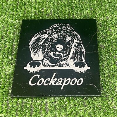 Cockapoo Dog Coaster
