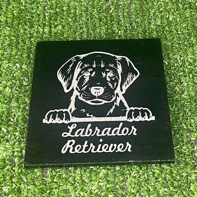 Labrador Retriever Dog Coaster