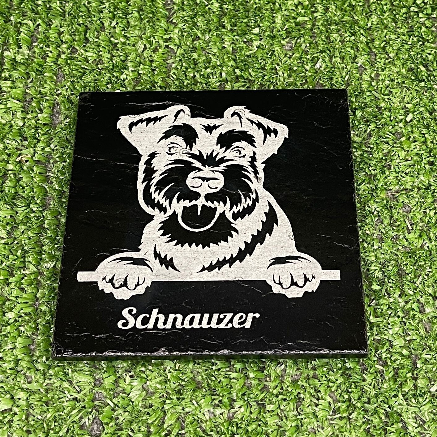 Schaunzer Dog Coaster