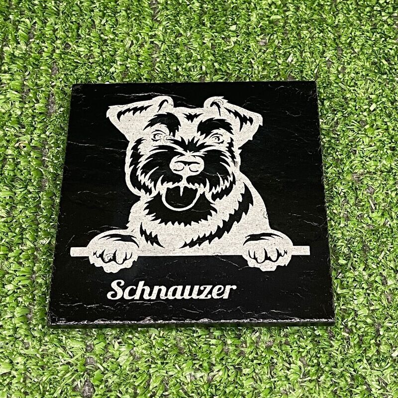 Schaunzer Dog Coaster