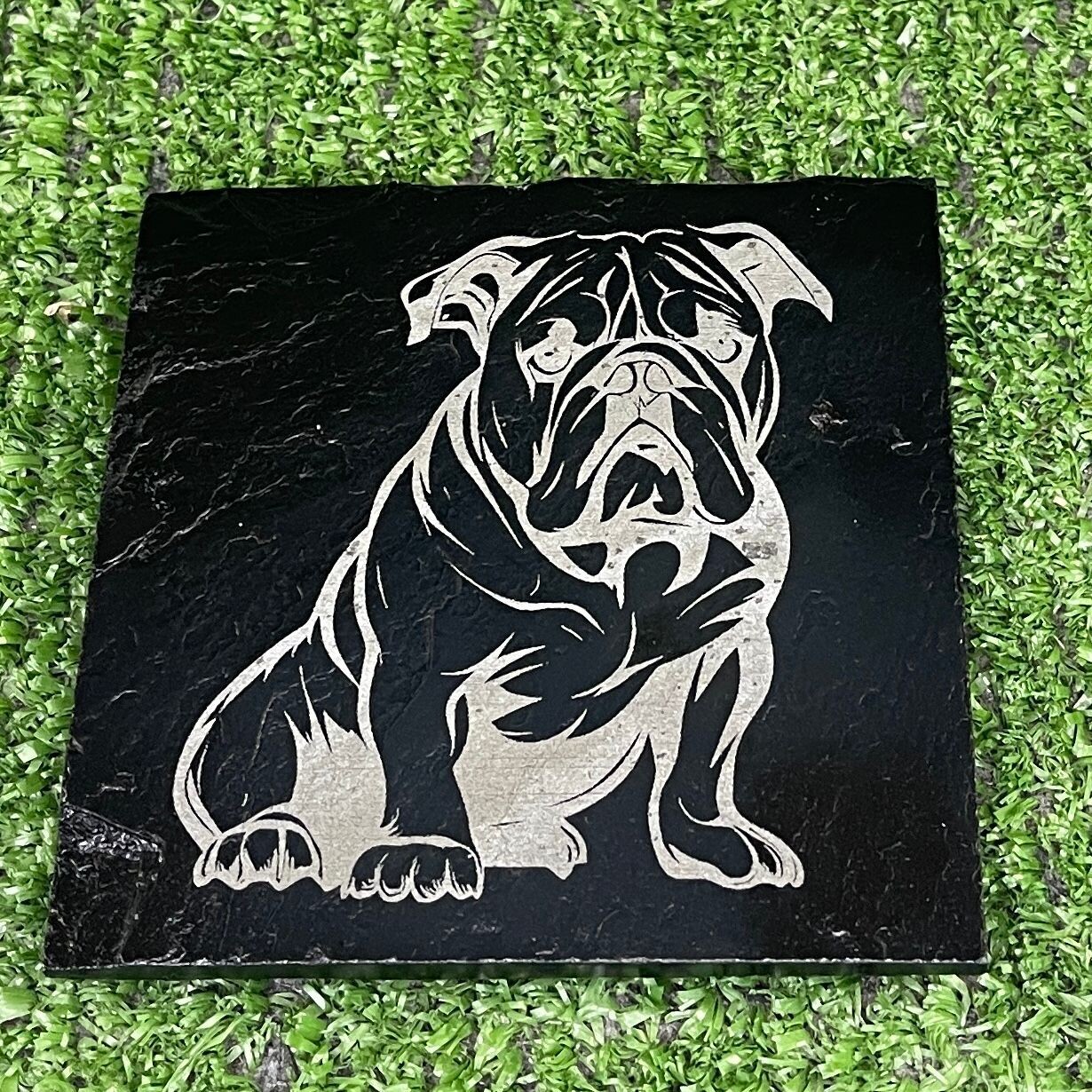 Bulldog Coaster