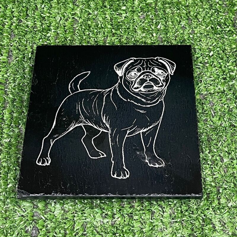 Pug Dog 3 Coaster