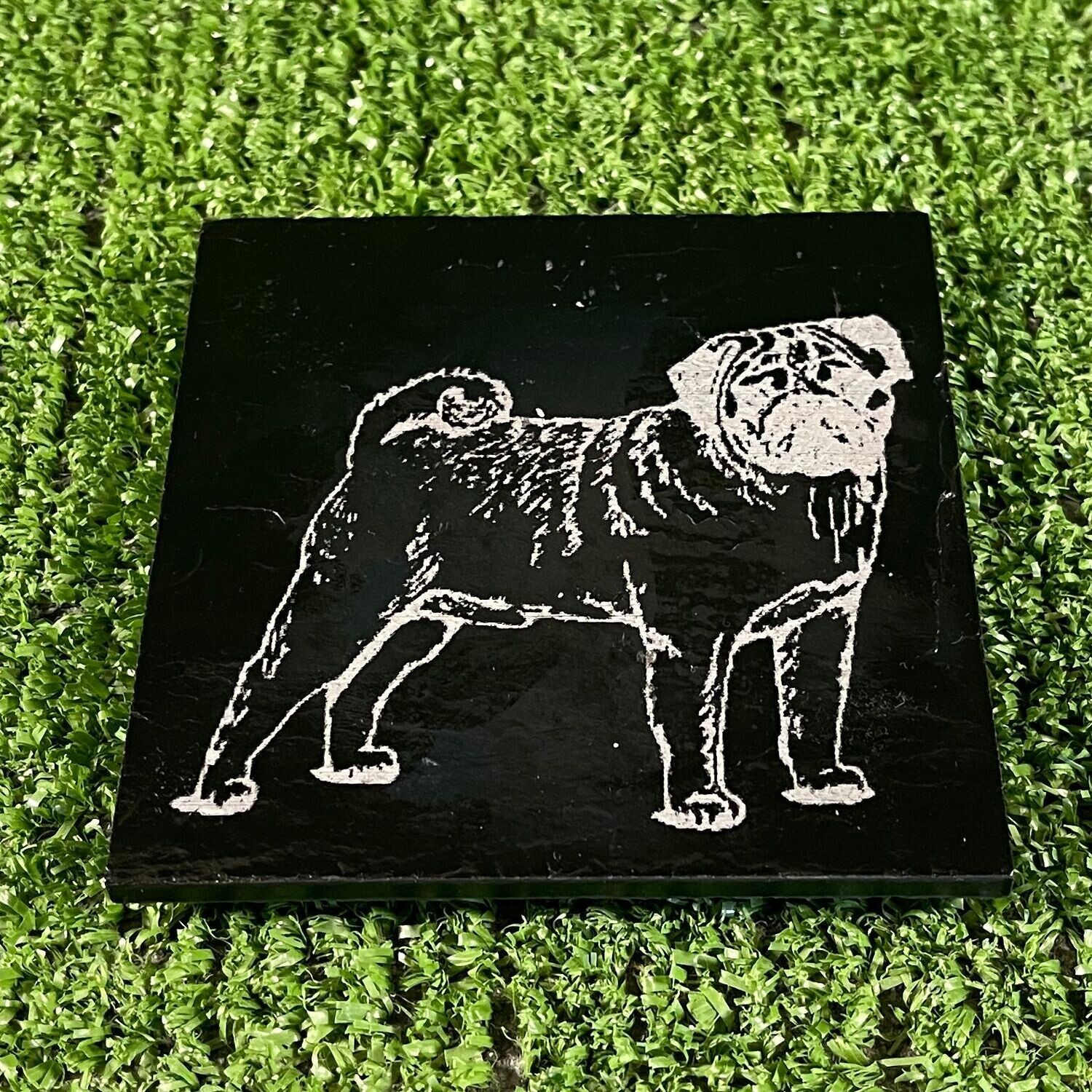 Pug Dog 2 Coaster
