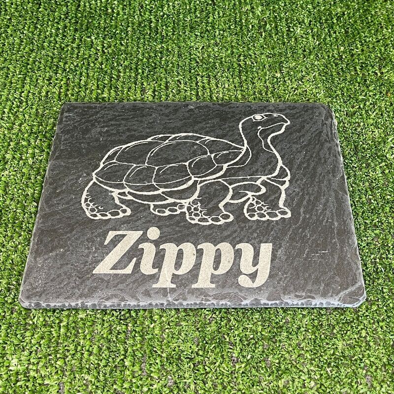 Tortoise Feeding / Claw / Beak Natural Slate
