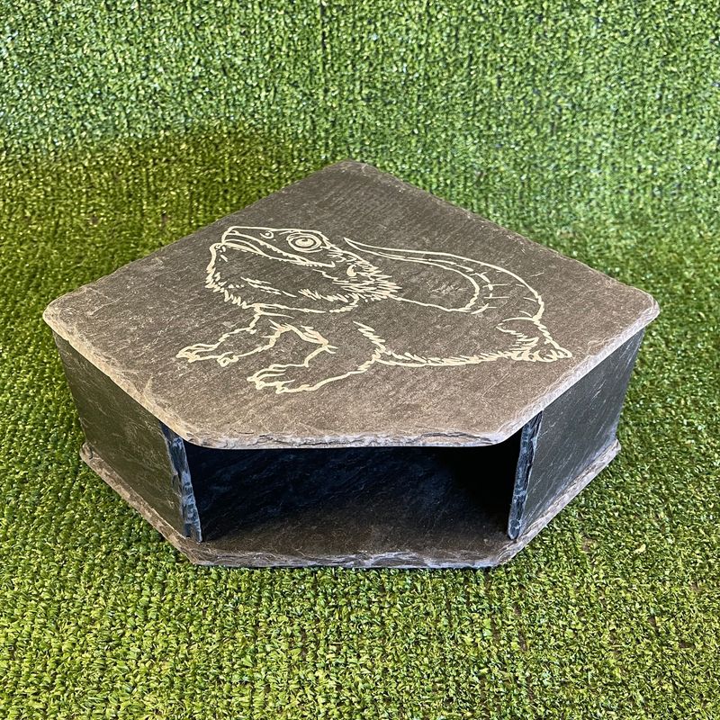 Bearded Dragon Laser Engraved Slate Cave 9x20x20cm