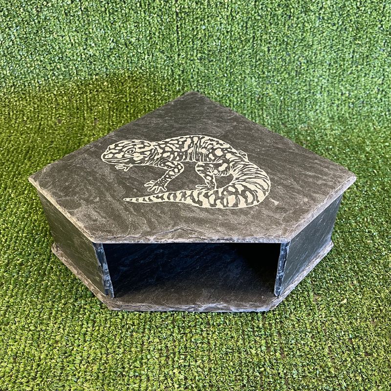 Gecko Laser Engraved Slate Cave 9x20x20cm