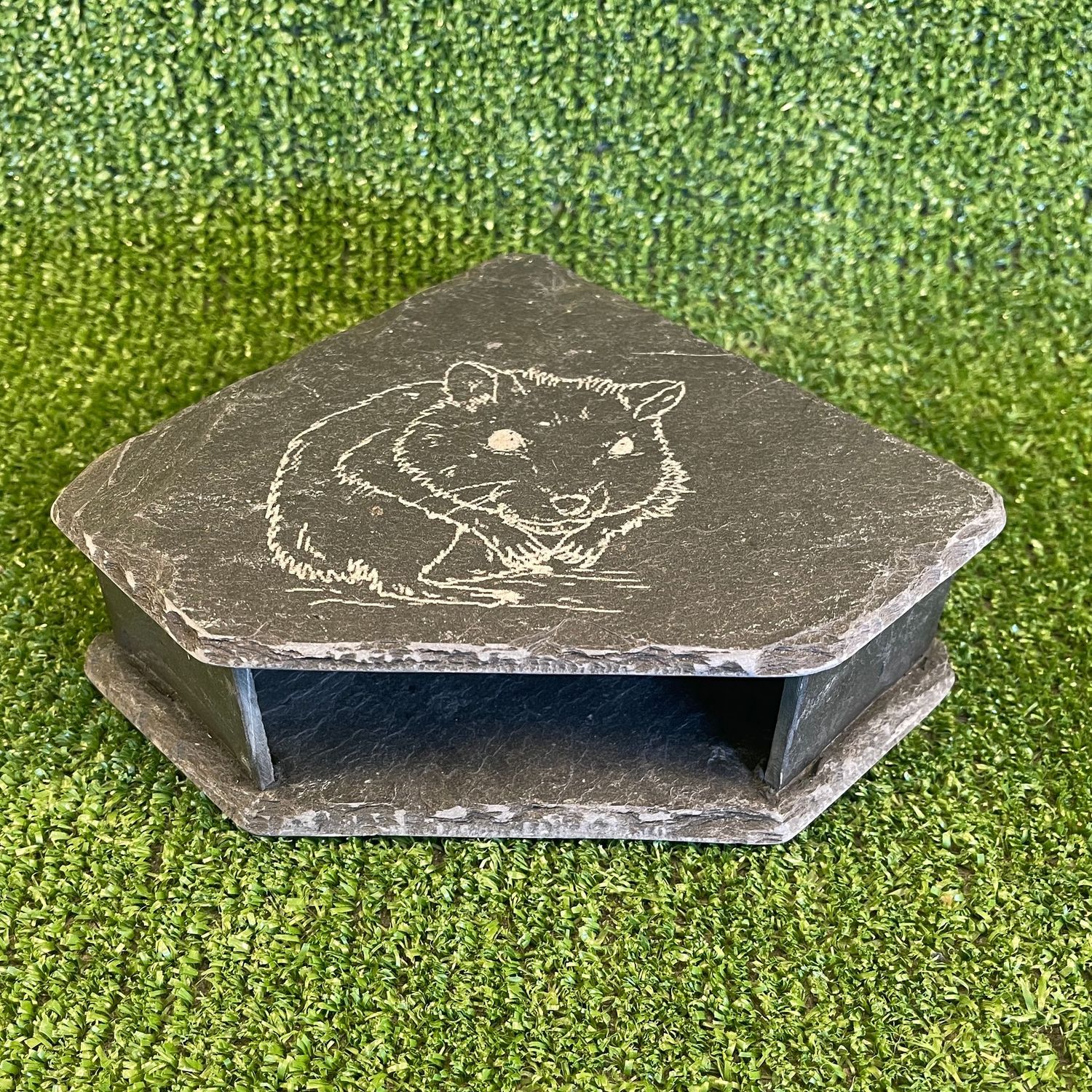 Hamster Slate Cave