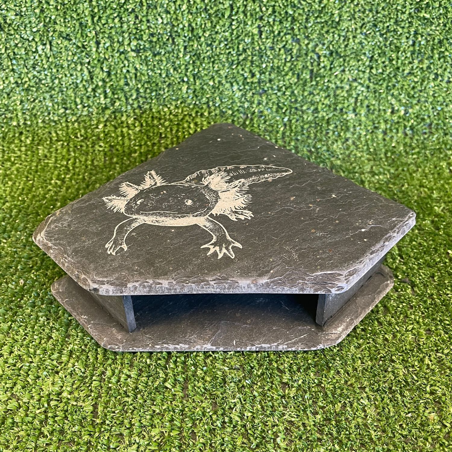 Axolotl Slate Cave