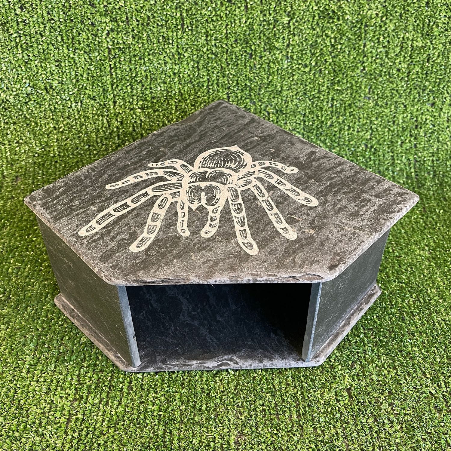 Spider Reptile Laser Engraved Slate Cave 11x20x20cm