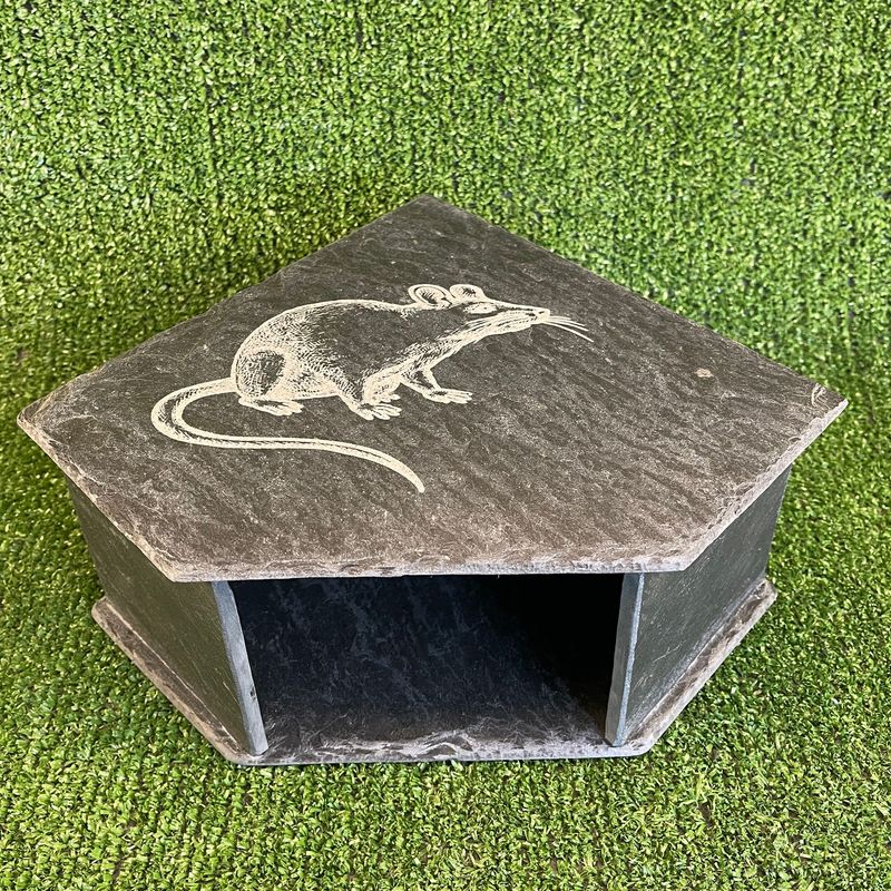 Rat Laser Engraved Slate Cave 11x20x20cm