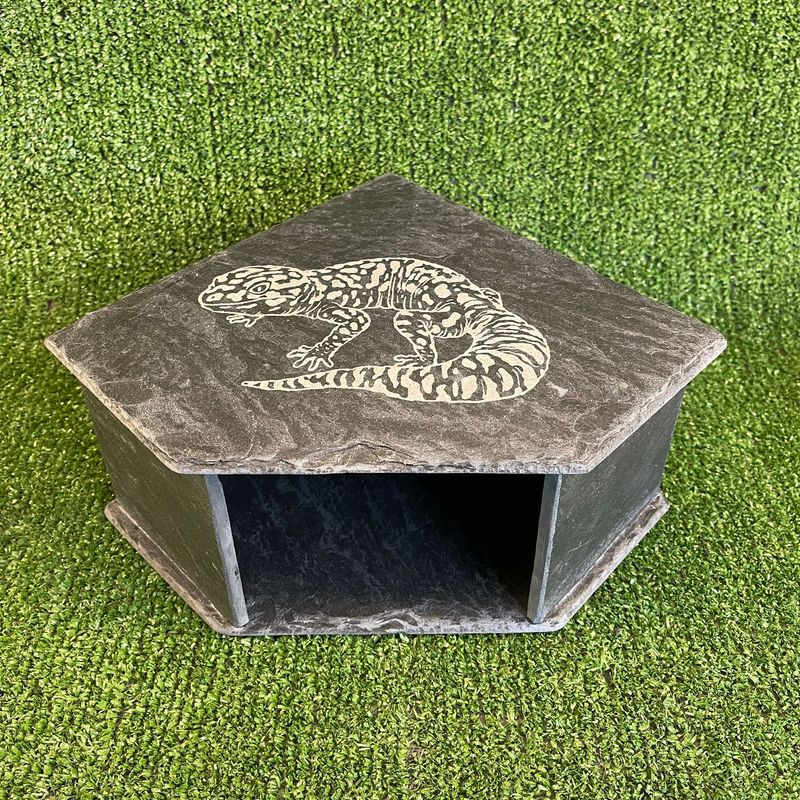 Gecko reptile Laser Engraved Slate Cave 11x20x20cm