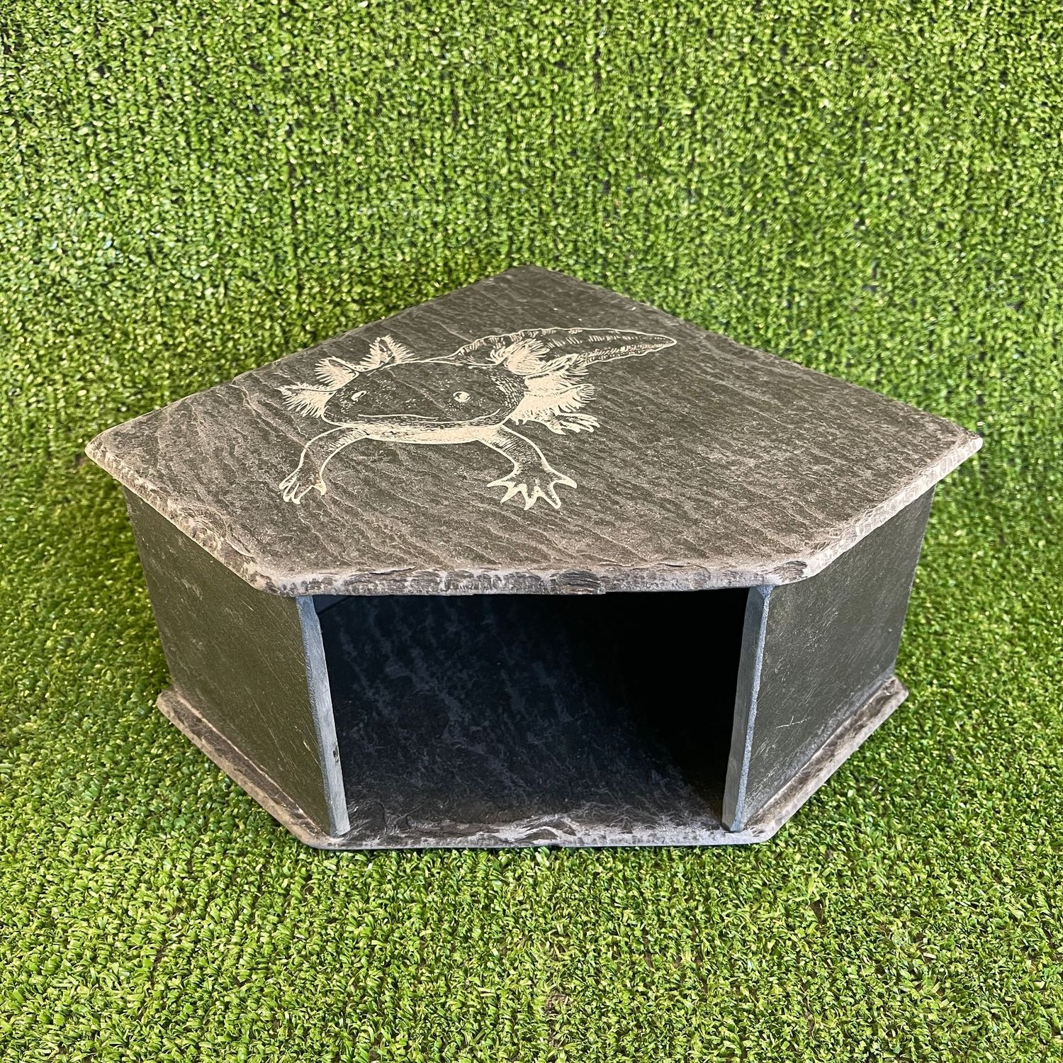 Axolotl Reptile Engraved Slate Cave 11x20x20cm