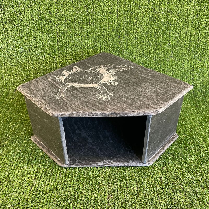 Axolotl Reptile Engraved Slate Cave 11x20x20cm