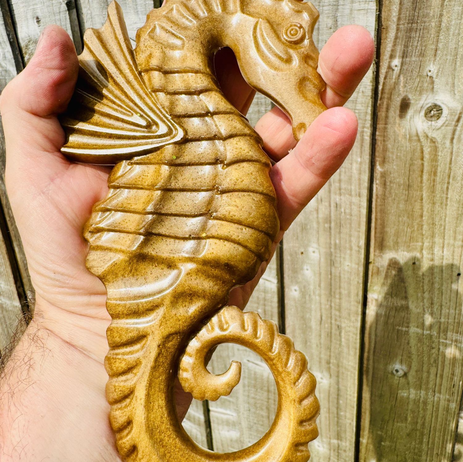 Sea horse Gold Bronze wall art Model