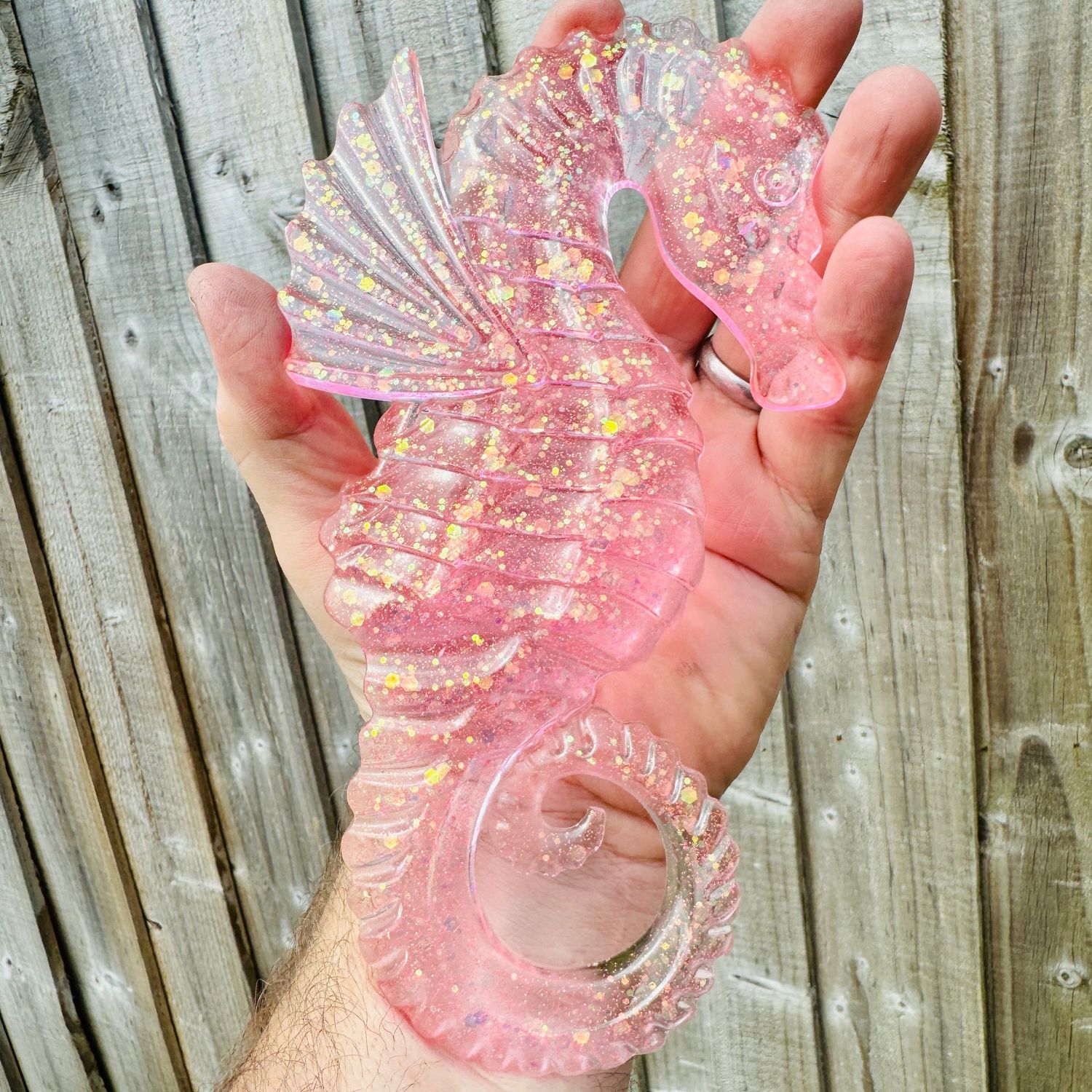 Seahorse Clear Pink Wall art Model
