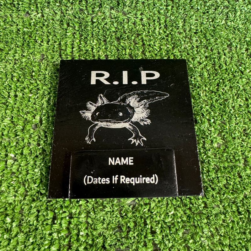RIP Axolotl Reptile Slate Marker