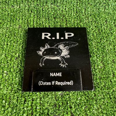 RIP Axolotl Reptile Slate Marker