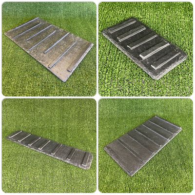 Wildlife & Reptile Slate Ramps