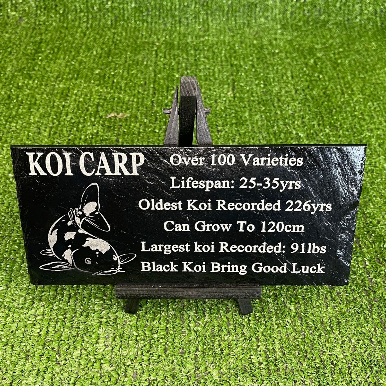 Koi Fish Laser Engraved Slate Fact Sign.