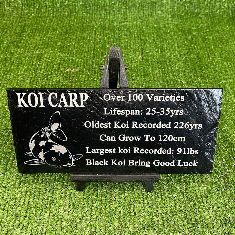 Koi Fish Laser Engraved Slate Fact Sign.