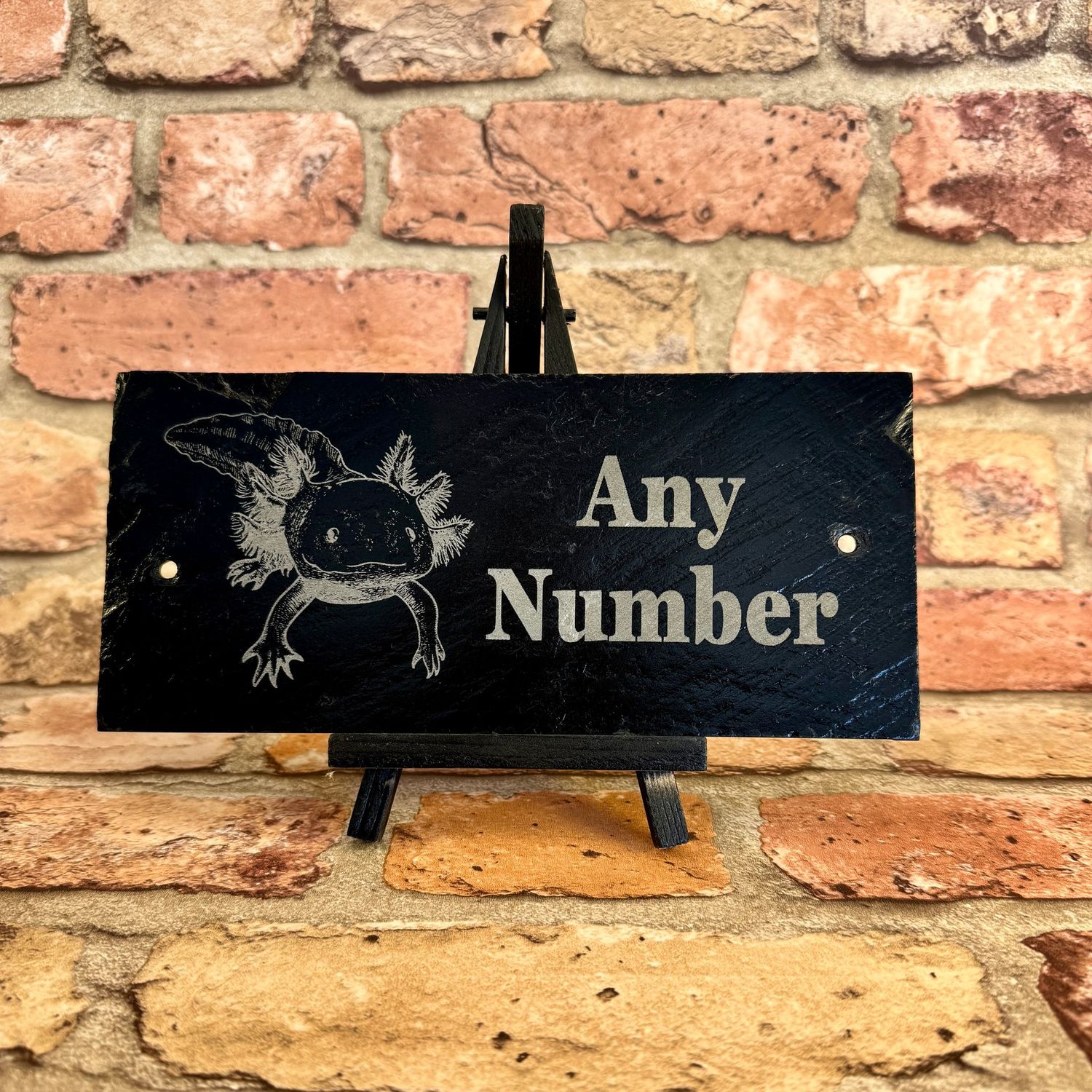 Axolotl Animal House Number Slate Sign