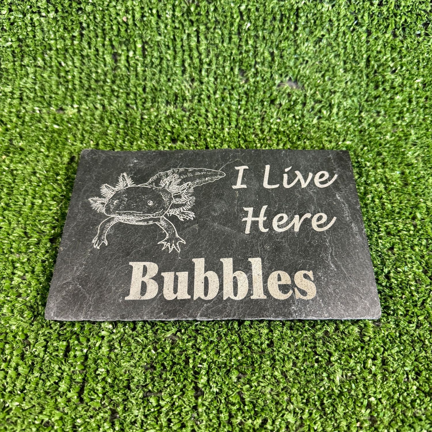 Axolotl Custom Name slate 14x9cm
