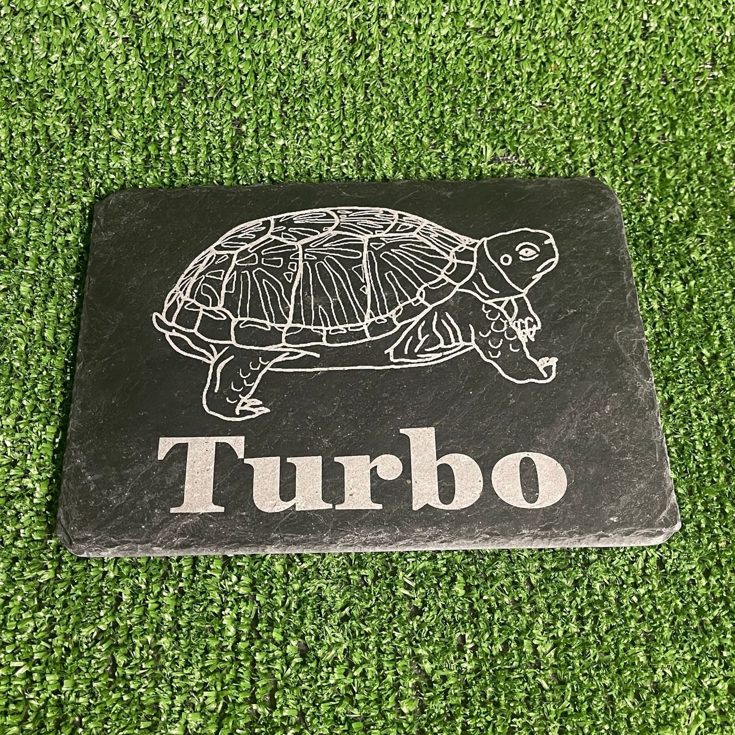 Tortoise Feeding Beak Slate 14x9cm