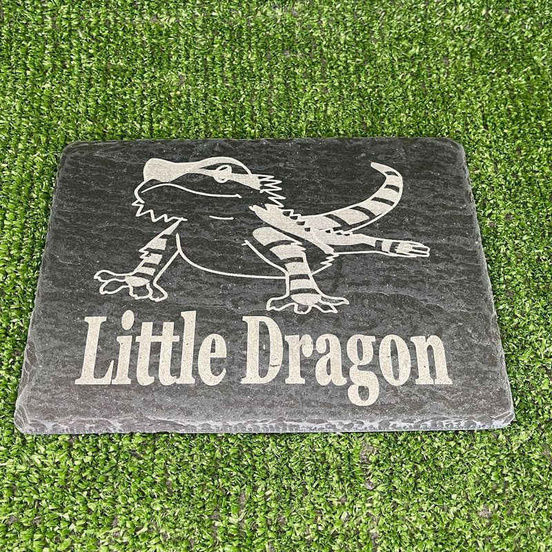 Bearded Dragon Feeding Beak Slate 14x9cm