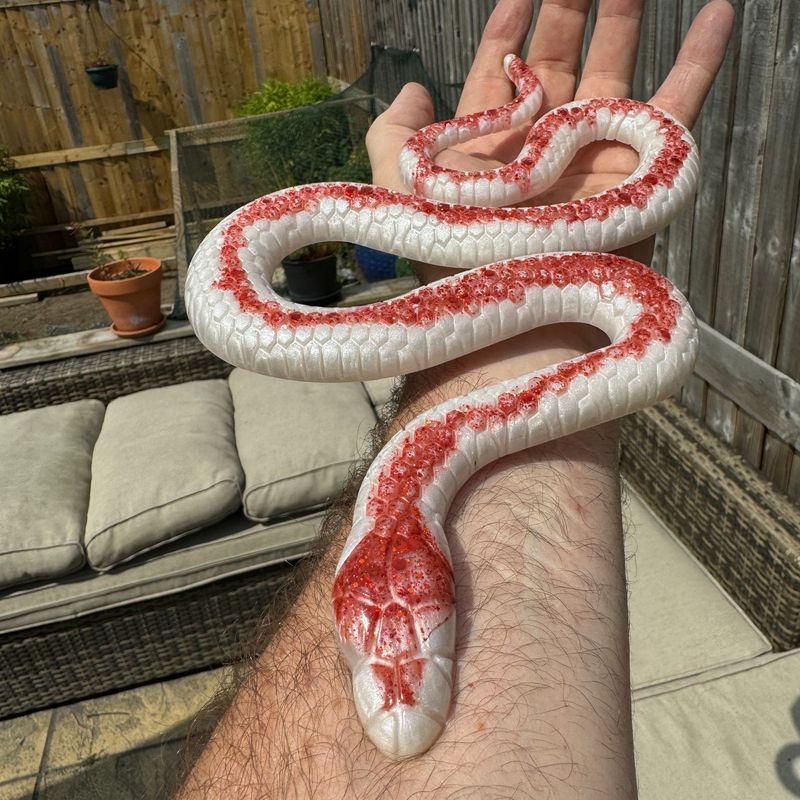 Snake Red and White Epoxy Resin Reptile Model