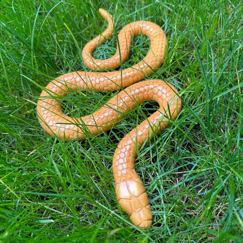 Golden Snake Expoxy Resin Reptile Model