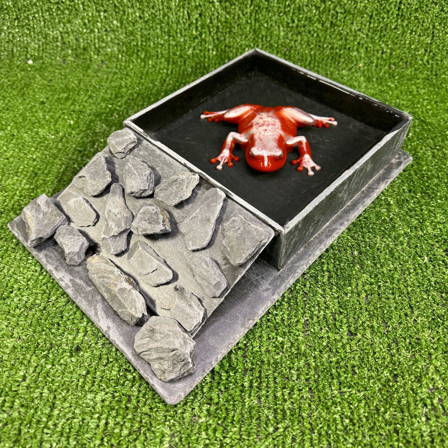 Reptile 4cm Deep Water Bath / Pool / Feeding Bowl with Ramp