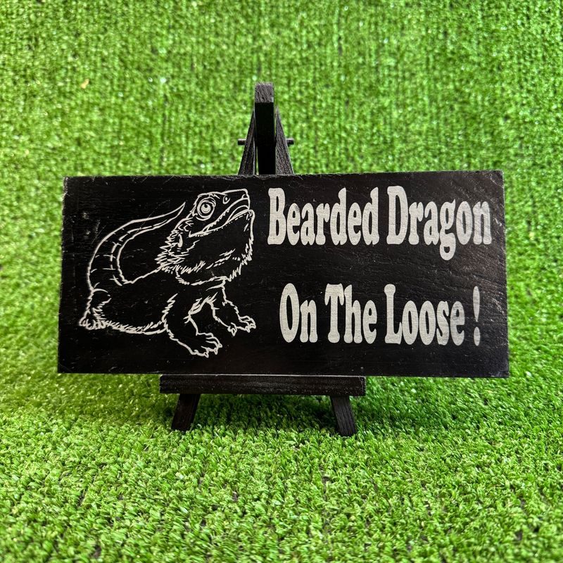BEARDED DRAGON Slate Warning Sign 20x9cm