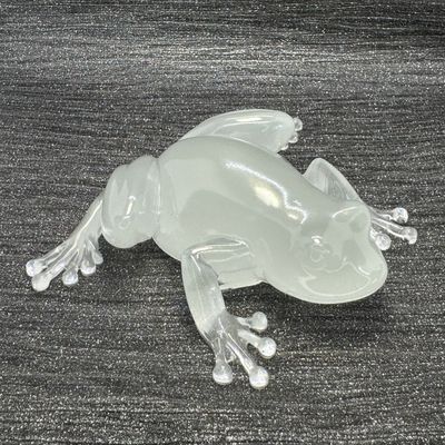 Clear Frog Model Ornament Clear Frog Model Ornament
