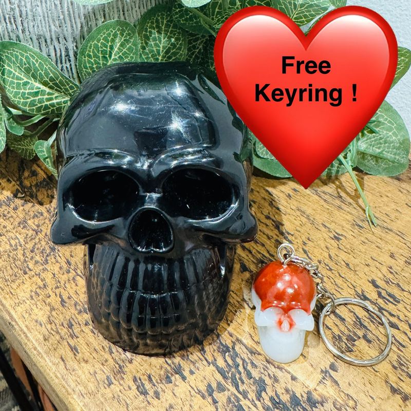 LARGE Pure Black 3D Skull Decoration Model, paperweight or Bookend.